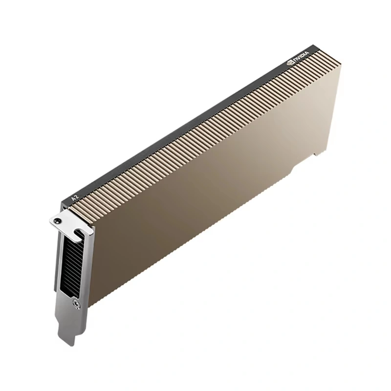 Placa gráfica A2 16g